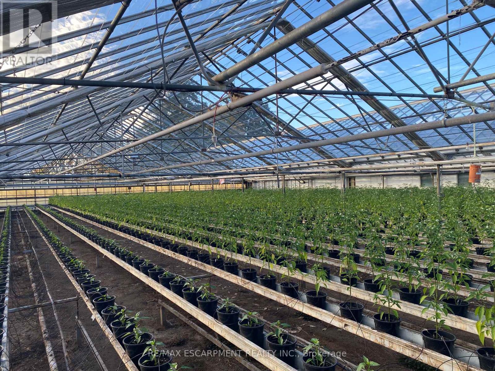 5220-5226 Greenlane Road, Lincoln, Ontario  L0R 1B3 - Photo 6 - X12614388