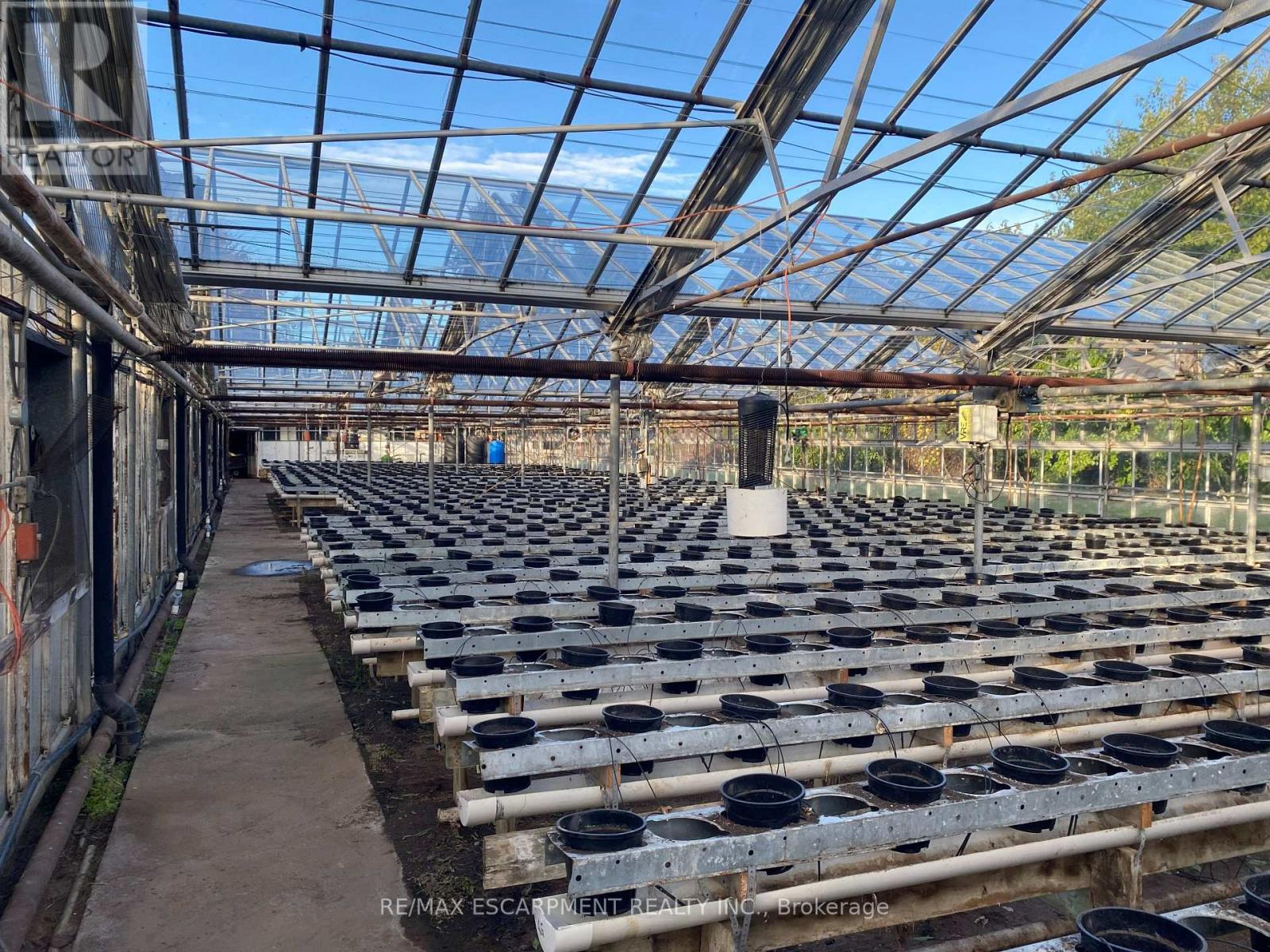 5220-5226 Greenlane Road, Lincoln, Ontario  L0R 1B3 - Photo 8 - X12614388