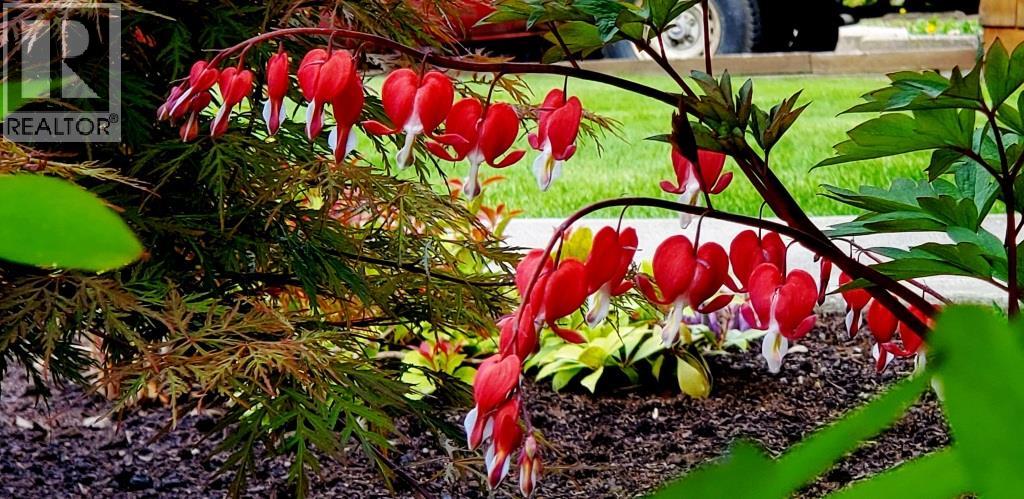 2225 Birch Street, Creston, British Columbia  V0B 1G5 - Photo 58 - 10370220