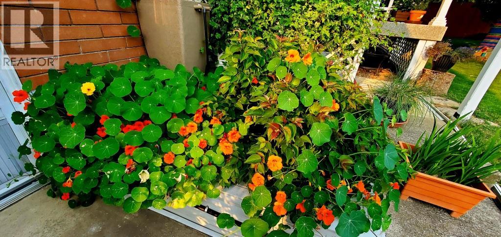 2225 Birch Street, Creston, British Columbia  V0B 1G5 - Photo 49 - 10370220