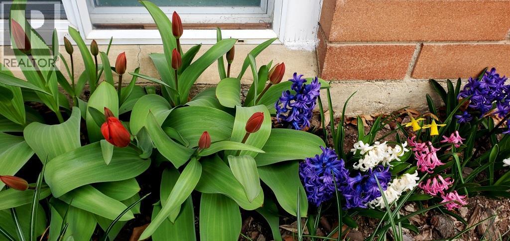 2225 Birch Street, Creston, British Columbia  V0B 1G5 - Photo 52 - 10370220