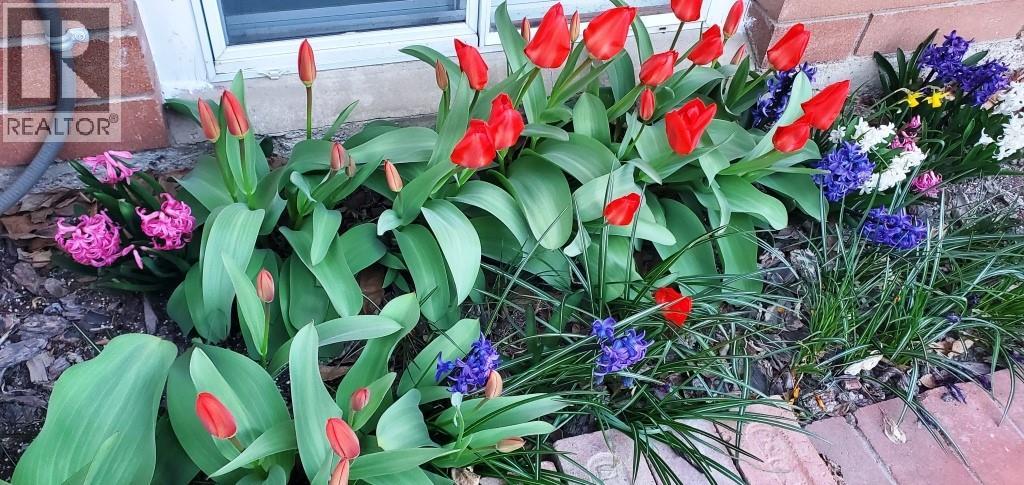 2225 Birch Street, Creston, British Columbia  V0B 1G5 - Photo 53 - 10370220