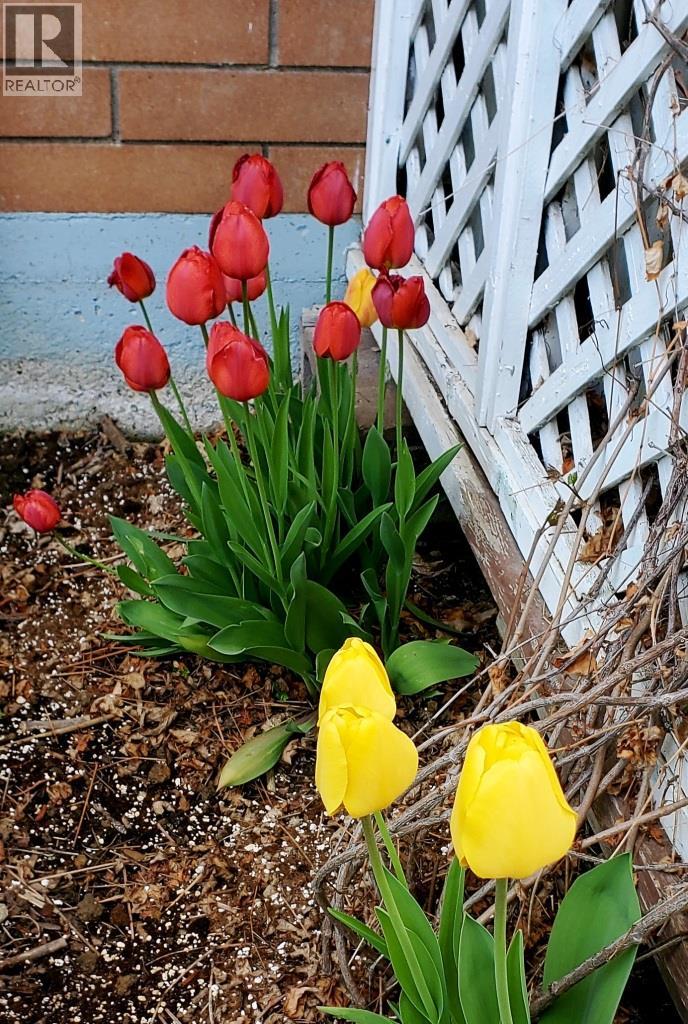 2225 Birch Street, Creston, British Columbia  V0B 1G5 - Photo 57 - 10370220