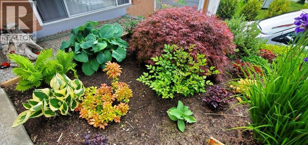 2225 Birch Street, Creston, British Columbia  V0B 1G5 - Photo 59 - 10370220