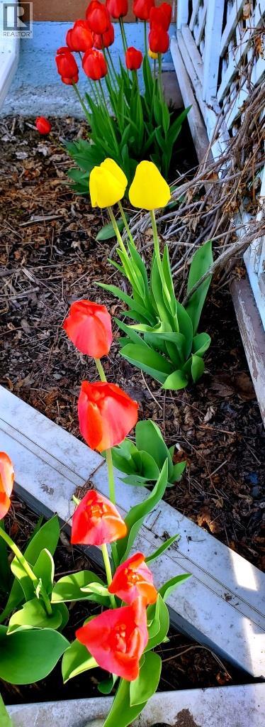 2225 Birch Street, Creston, British Columbia  V0B 1G5 - Photo 56 - 10370220