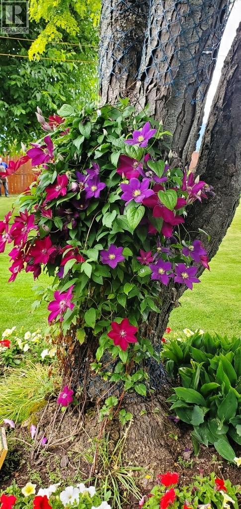 2225 Birch Street, Creston, British Columbia  V0B 1G5 - Photo 42 - 10370220