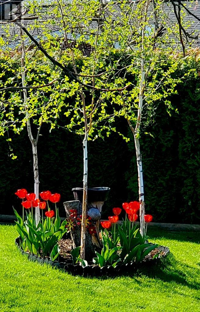 2225 Birch Street, Creston, British Columbia  V0B 1G5 - Photo 39 - 10370220