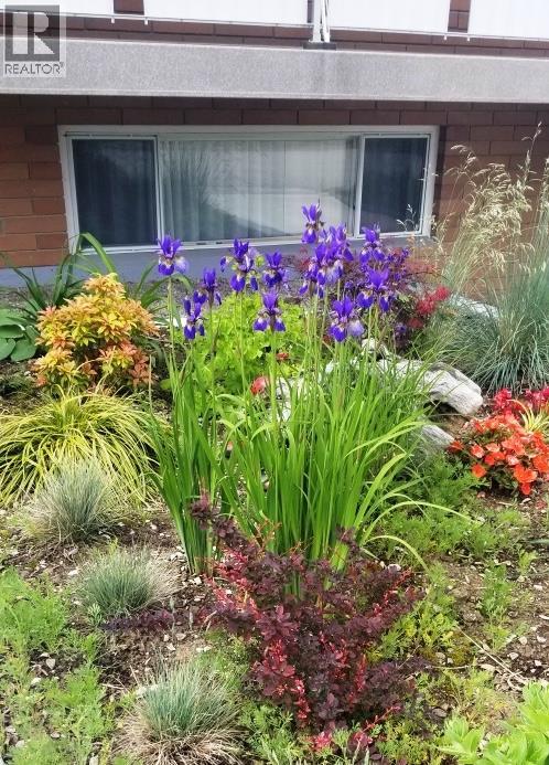 2225 Birch Street, Creston, British Columbia  V0B 1G5 - Photo 46 - 10370220