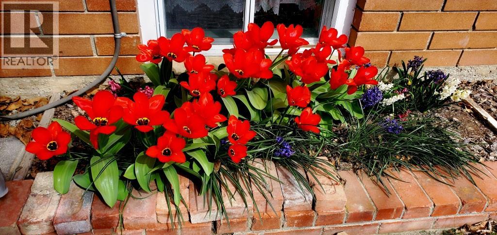 2225 Birch Street, Creston, British Columbia  V0B 1G5 - Photo 54 - 10370220