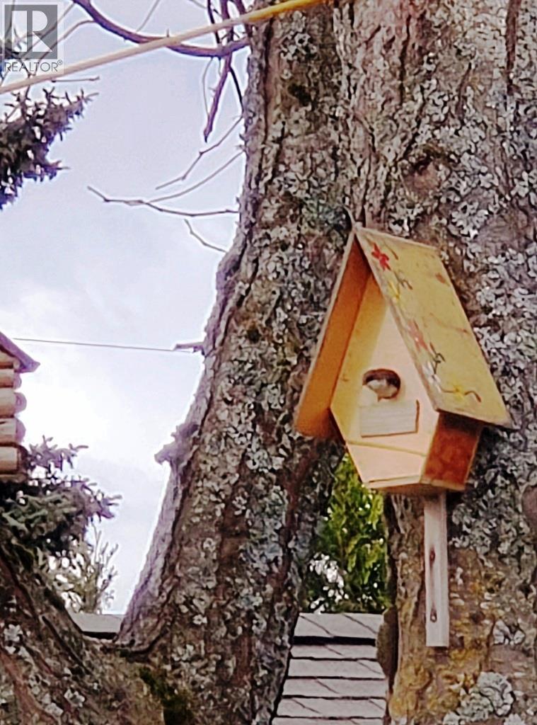 2225 Birch Street, Creston, British Columbia  V0B 1G5 - Photo 43 - 10370220