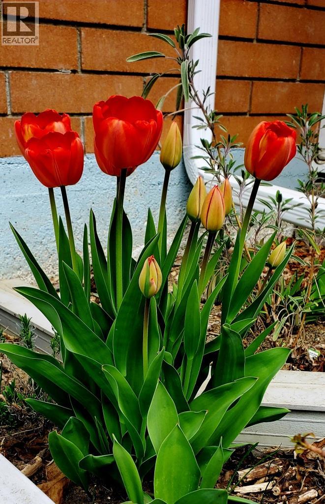 2225 Birch Street, Creston, British Columbia  V0B 1G5 - Photo 55 - 10370220