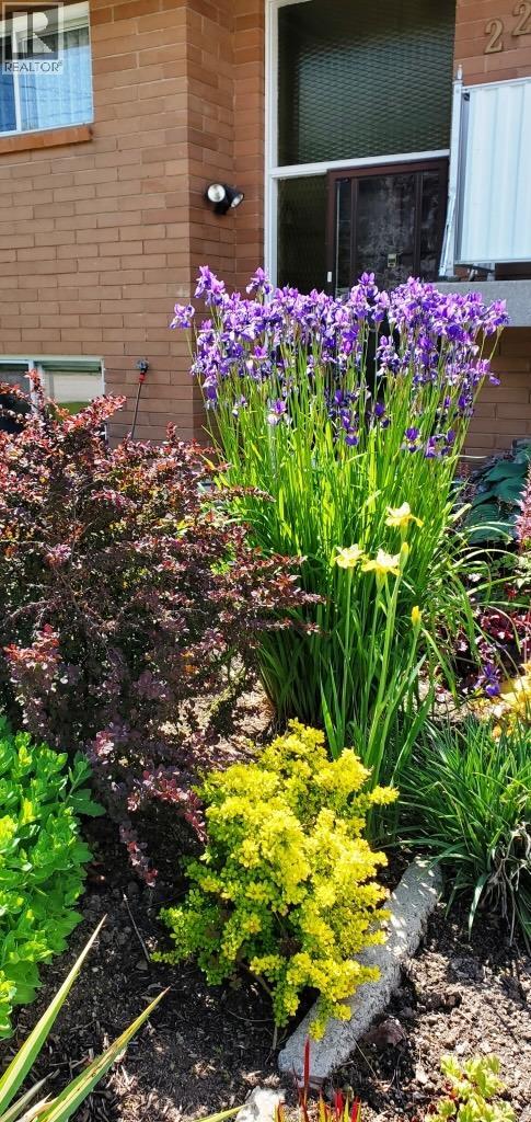 2225 Birch Street, Creston, British Columbia  V0B 1G5 - Photo 47 - 10370220