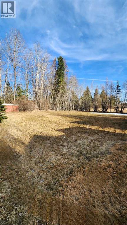 71037 Township Road 39-3, Rural Clearwater County, Alberta  T4T 2A3 - Photo 9 - A2214041