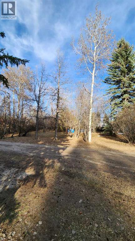 71037 Township Road 39-3, Rural Clearwater County, Alberta  T4T 2A3 - Photo 5 - A2214041