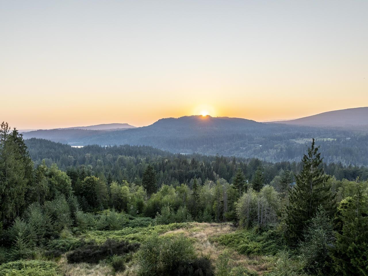 11038 Greenwood Drive, Mission, British Columbia  V4S 1A9 - Photo 37 - R3072960