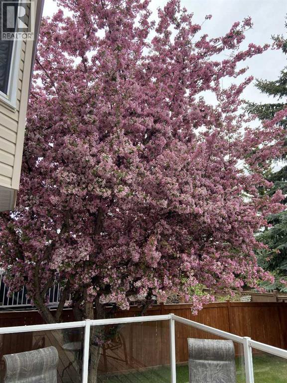 132 Straddock Crescent Sw, Calgary, Alberta  T3H 2S7 - Photo 8 - A2274116