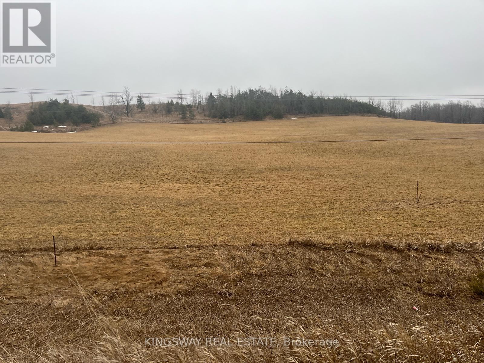 32 Conc.1 Whs Hwy89 Rd N, Mono, Ontario  L9V 1H9 - Photo 9 - X12416821