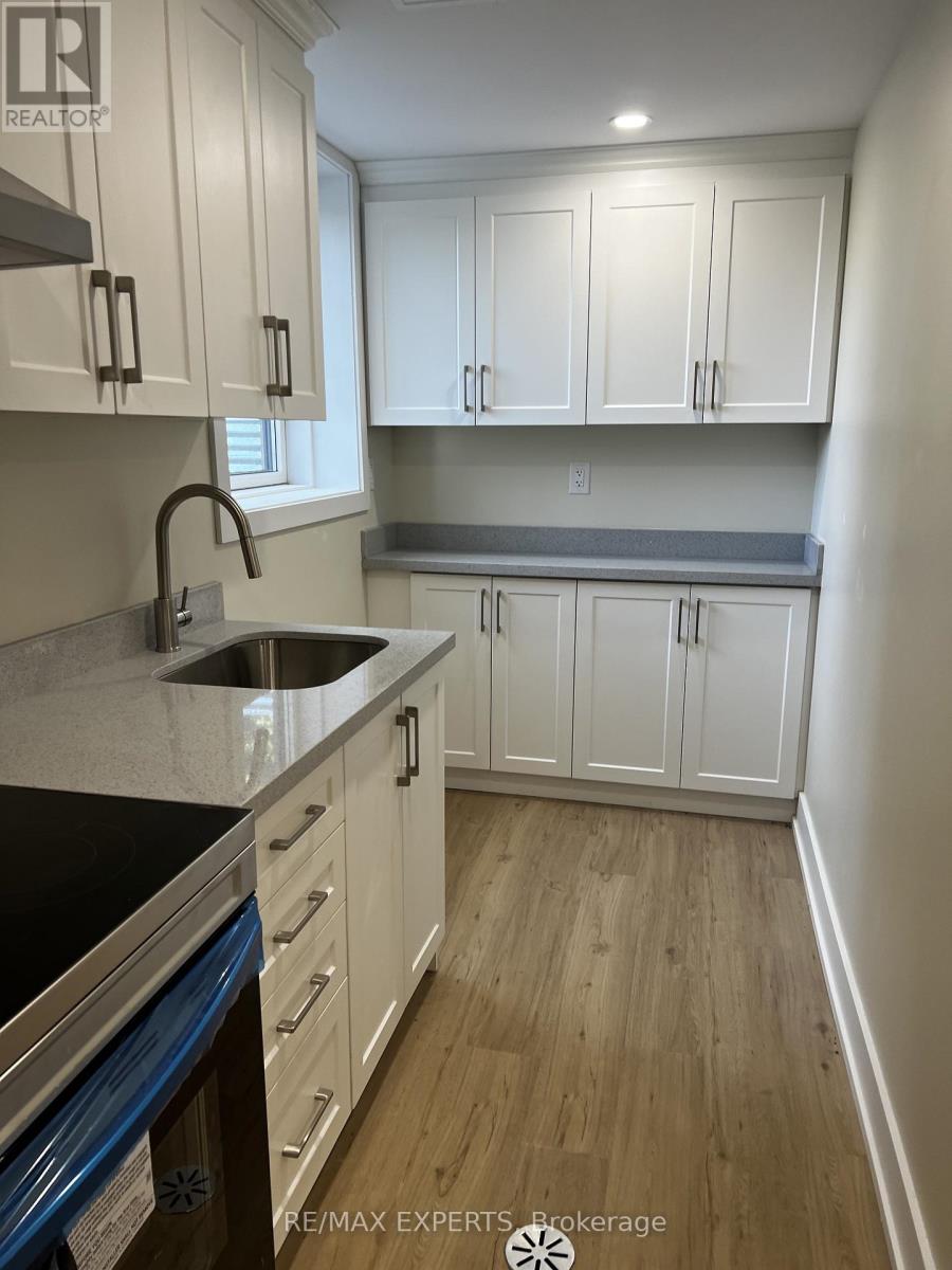 Lower Level - 3131 Lenester Drive, Mississauga, Ontario L5C 2B7 - Photo 6 - W12614624