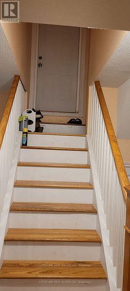 Basement - 30 Sea Lion Road, Brampton, Ontario  L6V 4P8 - Photo 14 - W12614638