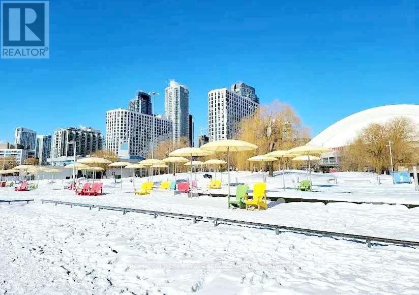 916 - 35 Bastion Street, Toronto, Ontario M5V 0C2 - Photo 40 - C12614662