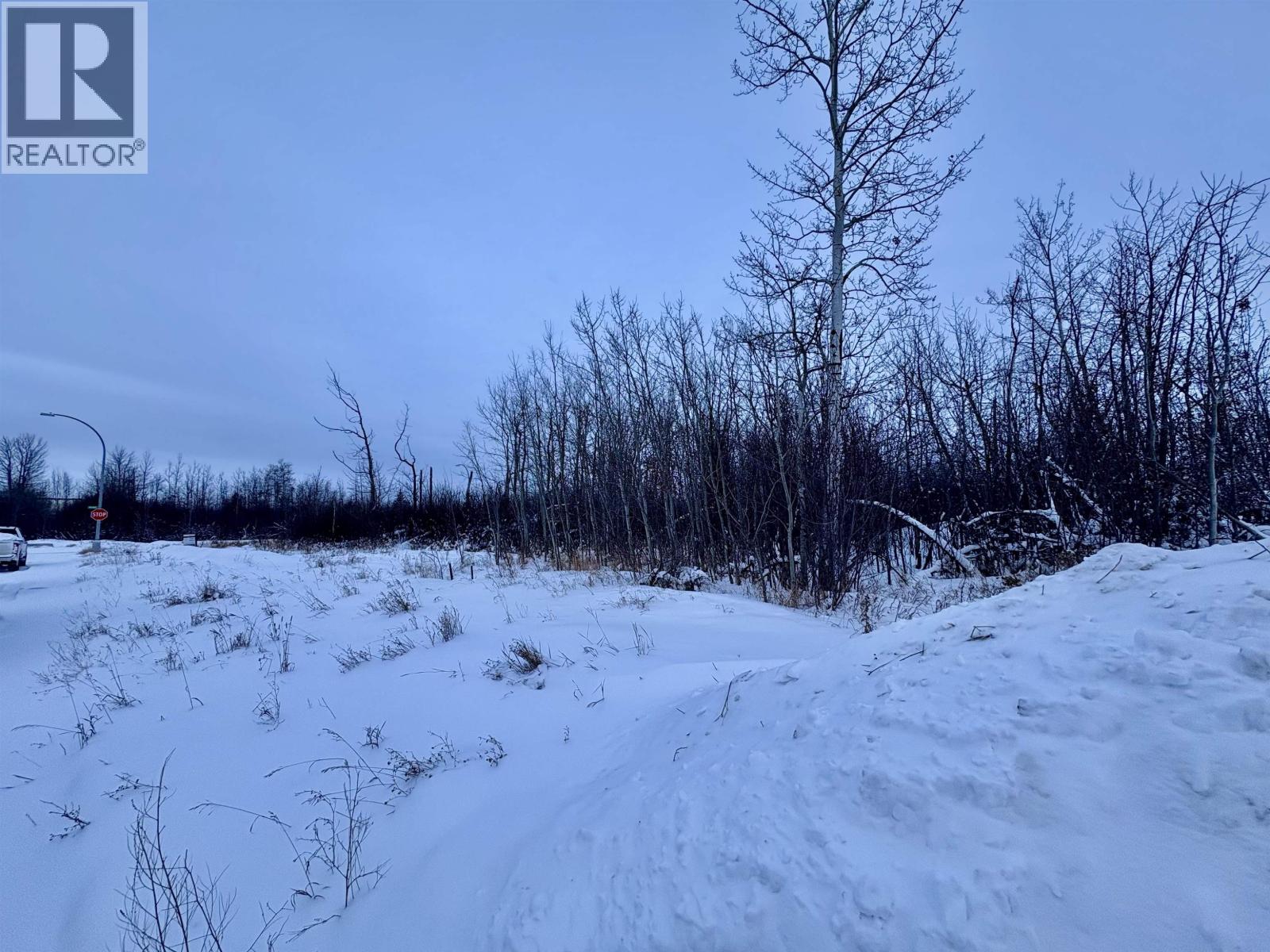 9015 74 Street, Fort St. John, British Columbia  V1J 0N7 - Photo 4 - R3072707