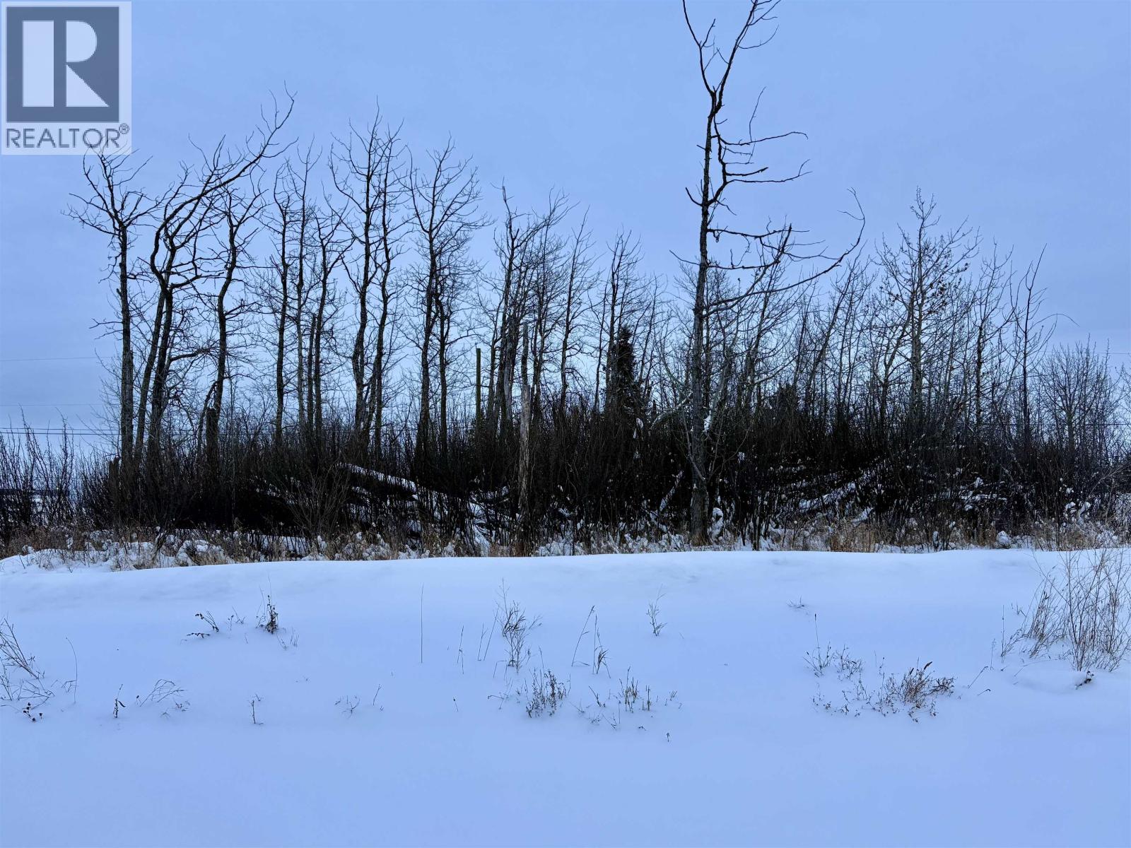 9019 74 Street, Fort St. John, British Columbia  V1J 0N7 - Photo 4 - R3072709