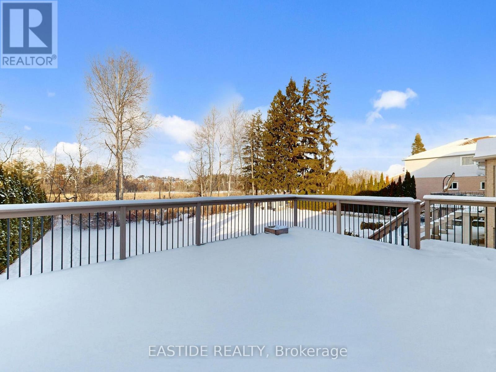 86 Snively Street, Richmond Hill, Ontario L4E 3E9 - Photo 48 - N12614708