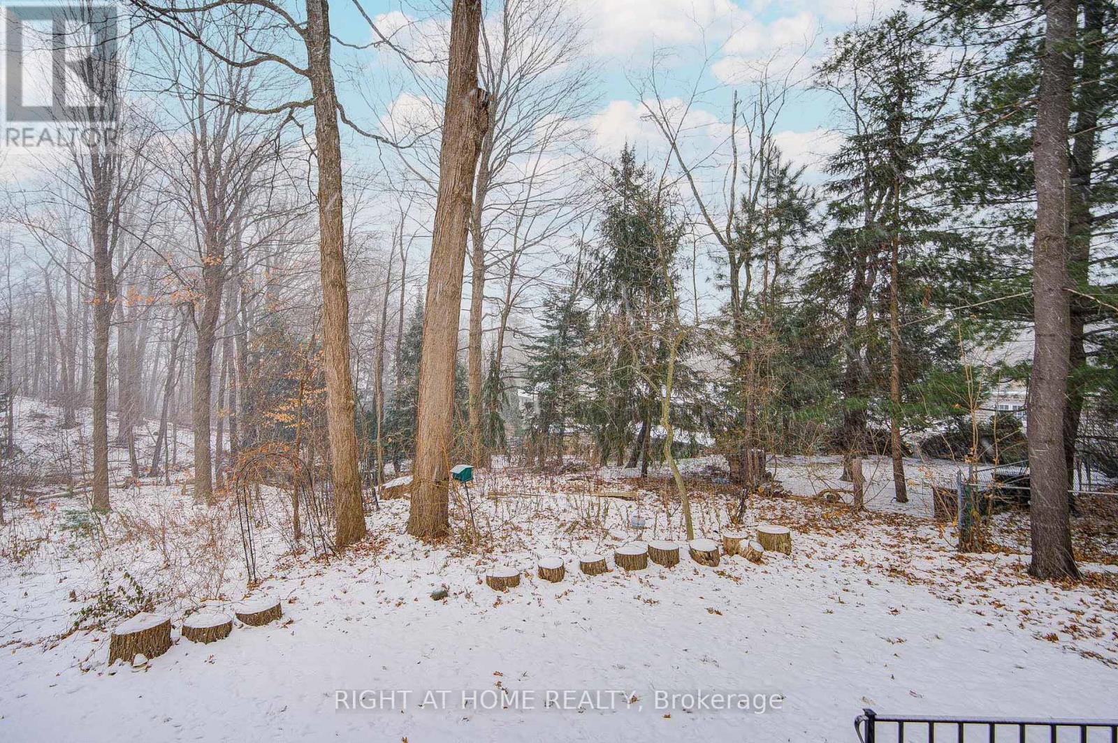 1445 Ryan Place, Mississauga, Ontario L5C 1J7 - Photo 36 - W12614722