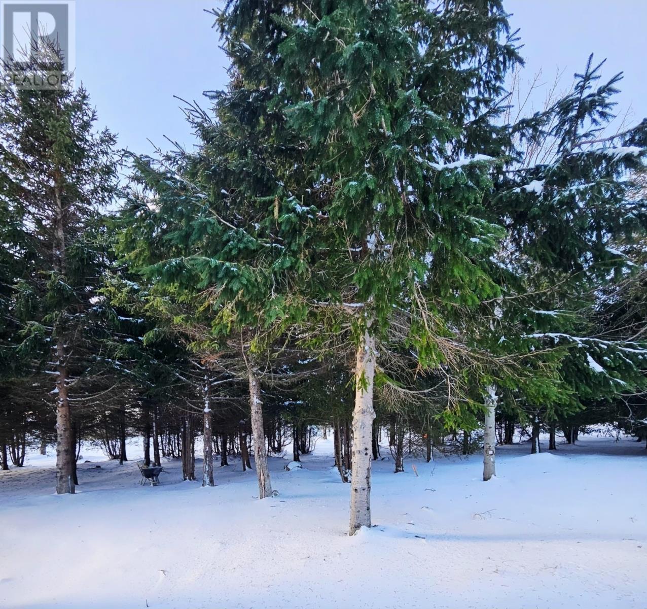 14 Mosdells Lane, Bay Roberts, Newfoundland & Labrador  A0A 1G0 - Photo 39 - 1293201