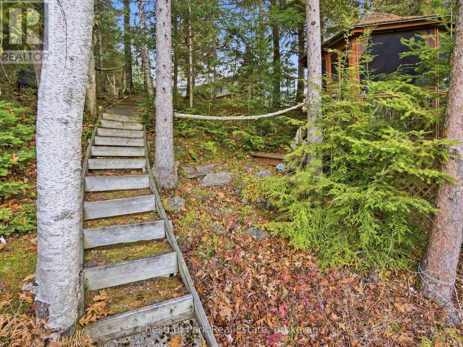 1077 Fairy Falls Road, Lake Of Bays, Ontario  P0B 1A0 - Photo 7 - X12570792