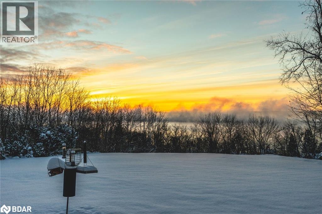 150 Collingwood Street, Barrie, Ontario  L4M 5M3 - Photo 4 - 40779786