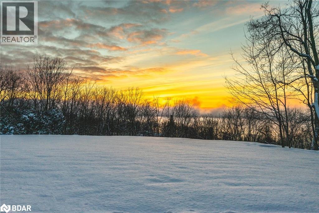 150 Collingwood Street, Barrie, Ontario  L4M 5M3 - Photo 31 - 40779786