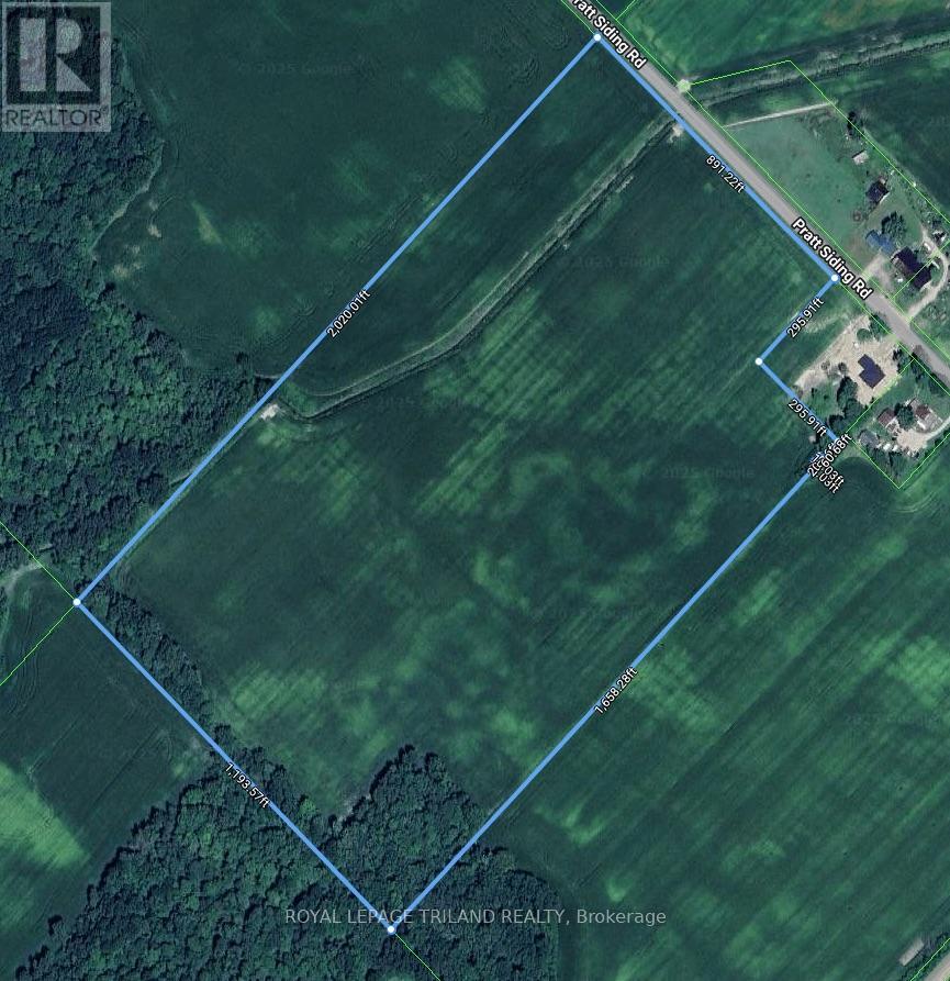 Pt Lt 9 Pratt Siding Road, Southwest Middlesex, Ontario  N0L 1M0 - Photo 2 - X12614890