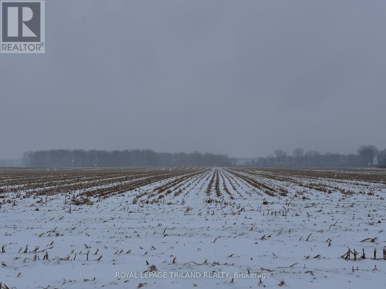 Pt Lt 9 Pratt Siding Road, Southwest Middlesex, Ontario  N0L 1M0 - Photo 5 - X12614890