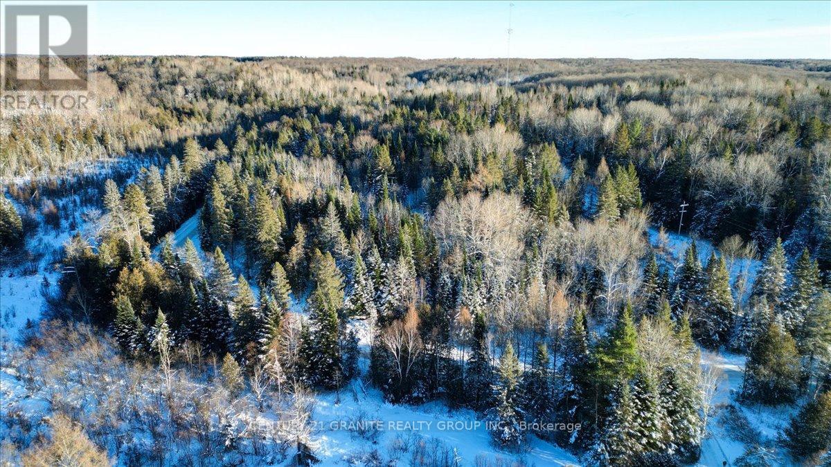 0 Lower Faraday Road, Faraday, Ontario  K0L 1C0 - Photo 8 - X12615048