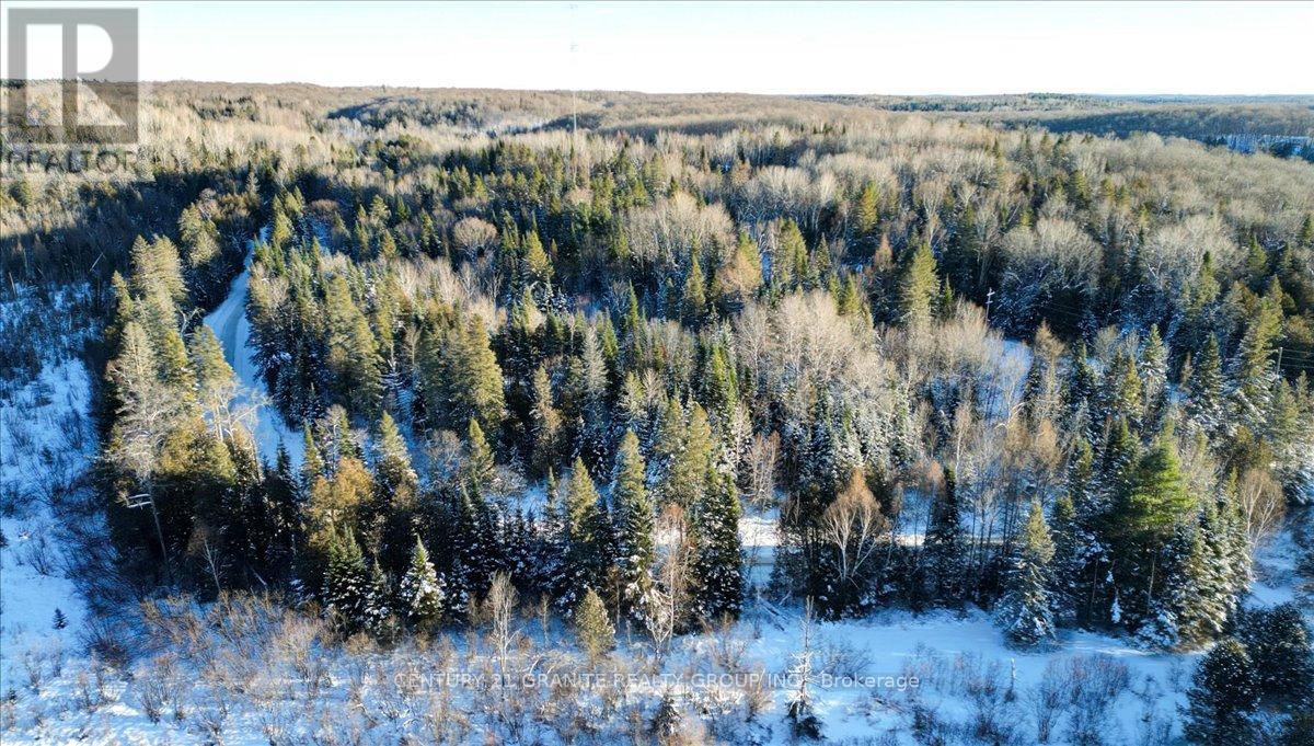 0 Lower Faraday Road, Faraday, Ontario  K0L 1C0 - Photo 9 - X12615048