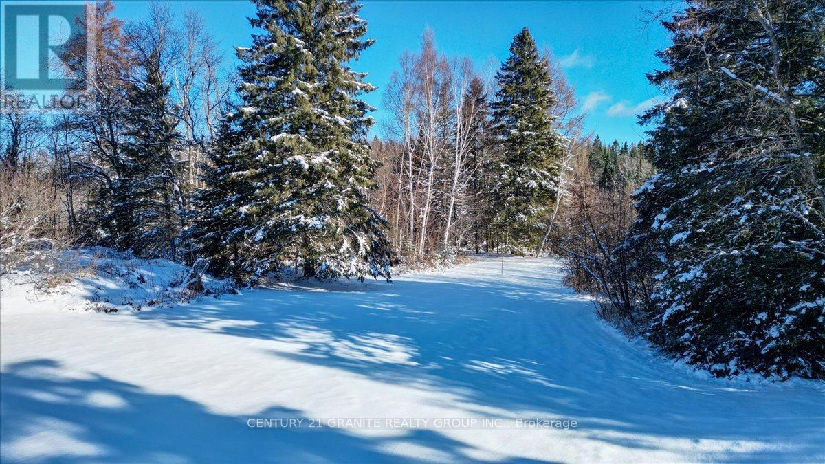 3157 Lower Faraday Road, Faraday, Ontario  K0L 1C0 - Photo 28 - X12615178