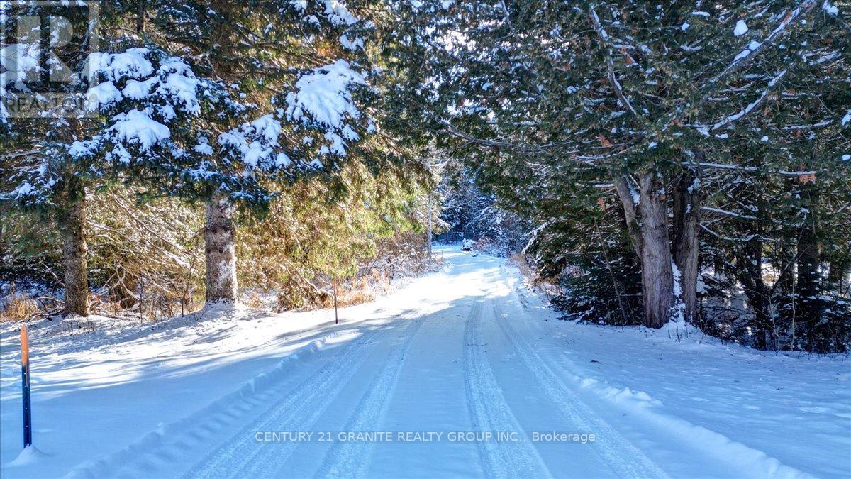 3157 Lower Faraday Road, Faraday, Ontario  K0L 1C0 - Photo 30 - X12615178