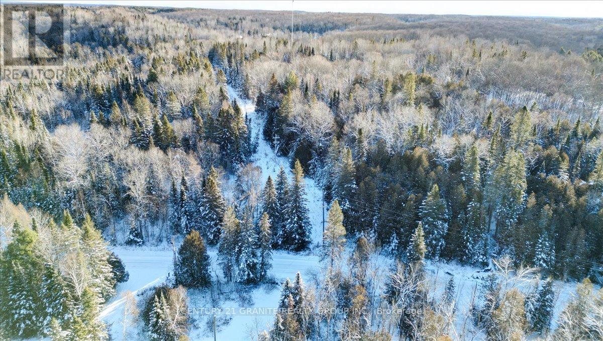 3157 Lower Faraday Road, Faraday, Ontario  K0L 1C0 - Photo 33 - X12615178