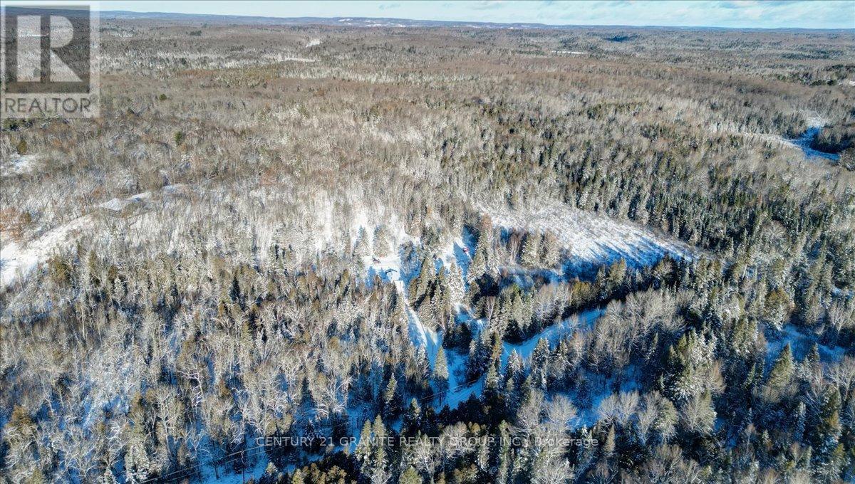 3157 Lower Faraday Road, Faraday, Ontario  K0L 1C0 - Photo 35 - X12615178