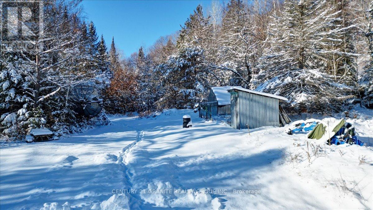 3157 Lower Faraday Road, Faraday, Ontario  K0L 1C0 - Photo 4 - X12615178