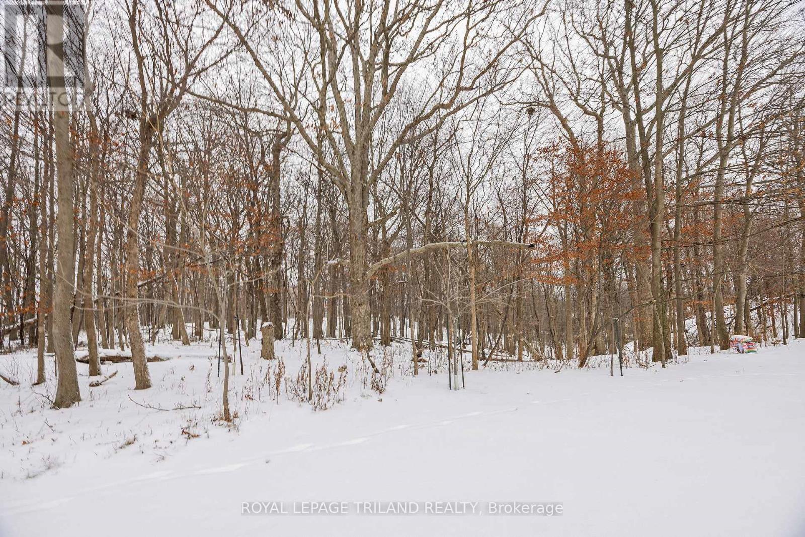 7 - 1617 Shore Road, London South, Ontario N6K 5C3 - Photo 38 - X12615120