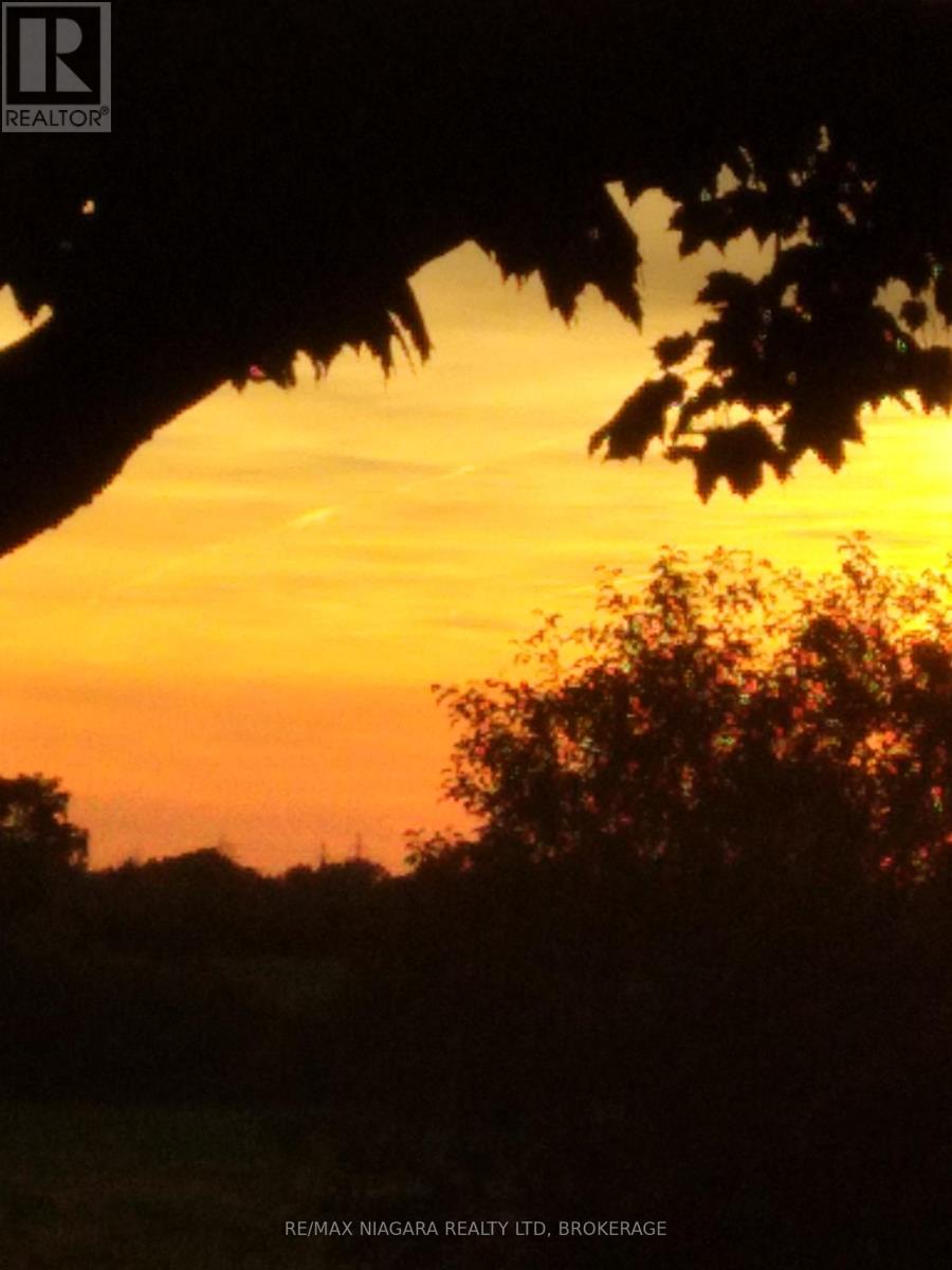 4576 Kalar Road, Niagara Falls, Ontario L2H 1S9 - Photo 43 - X12603454