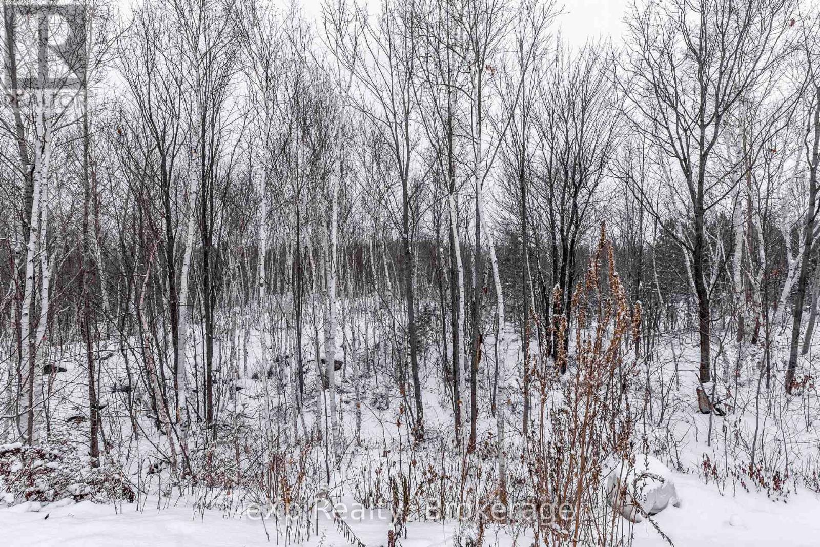 14 Timber Ridge Court, Greater Sudbury, Ontario P3E 6K1 - Photo 26 - X12614992