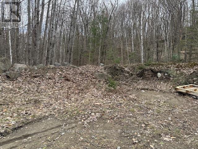 Lot Silverwood Road, Minden Hills, Ontario  K0M 2K0 - Photo 11 - X12615012