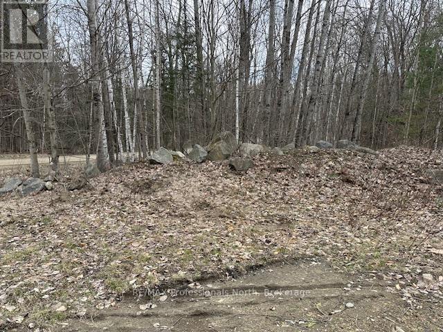 Lot Silverwood Road, Minden Hills, Ontario  K0M 2K0 - Photo 12 - X12615012