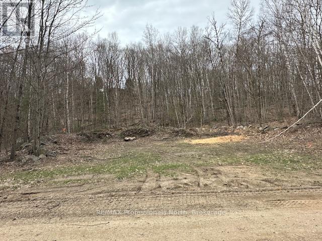 Lot Silverwood Road, Minden Hills, Ontario  K0M 2K0 - Photo 4 - X12615012