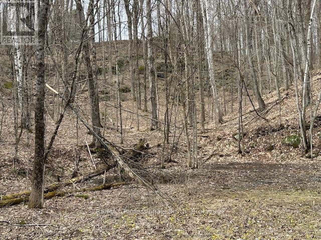 Lot Silverwood Road, Minden Hills, Ontario  K0M 2K0 - Photo 7 - X12615012