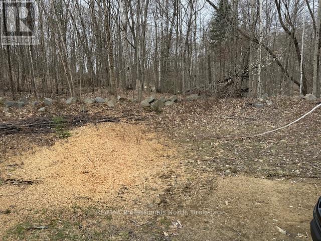 Lot Silverwood Road, Minden Hills, Ontario  K0M 2K0 - Photo 8 - X12615012