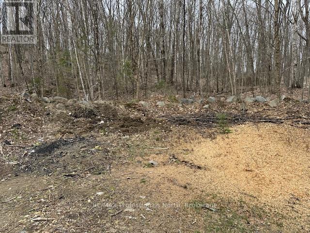 Lot Silverwood Road, Minden Hills, Ontario  K0M 2K0 - Photo 9 - X12615012